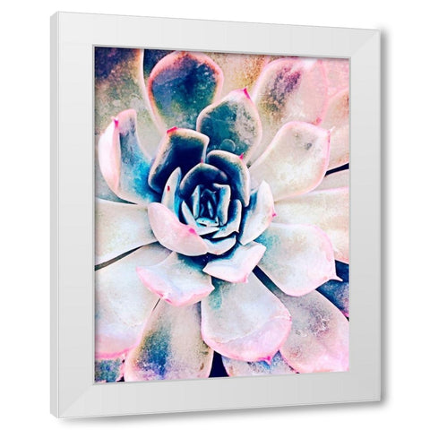 Pastel Succulent Beauty II White Modern Wood Framed Art Print by Orlov, Irena