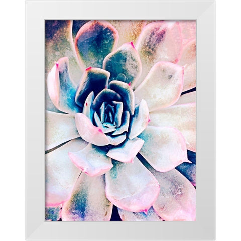 Pastel Succulent Beauty II White Modern Wood Framed Art Print by Orlov, Irena