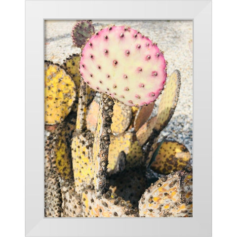 Pink Yellow Cactus II White Modern Wood Framed Art Print by Orlov, Irena