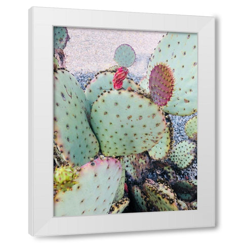 Pink Green Cactus II White Modern Wood Framed Art Print by Orlov, Irena