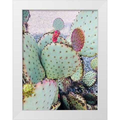 Pink Green Cactus II White Modern Wood Framed Art Print by Orlov, Irena