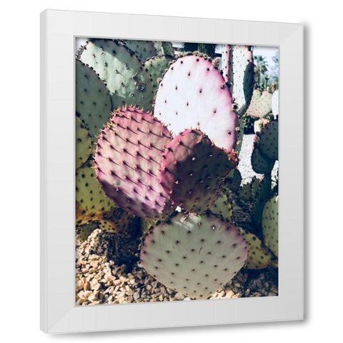 Pink Green Cactus III White Modern Wood Framed Art Print by Orlov, Irena