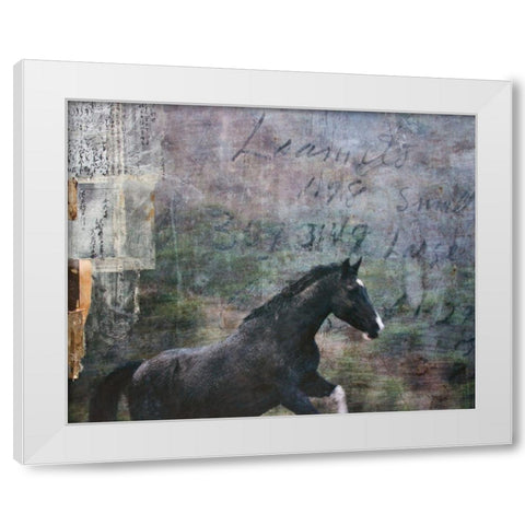 Horse Exposures I White Modern Wood Framed Art Print by Friedman, Susan