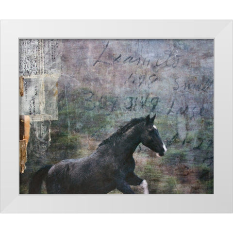 Horse Exposures I White Modern Wood Framed Art Print by Friedman, Susan