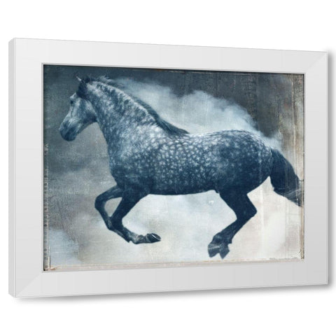 Horse Exposures III White Modern Wood Framed Art Print by Friedman, Susan