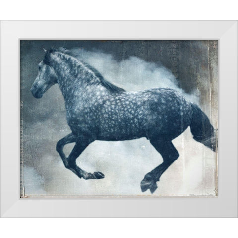 Horse Exposures III White Modern Wood Framed Art Print by Friedman, Susan
