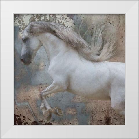 Horse Exposures IV White Modern Wood Framed Art Print by Friedman, Susan