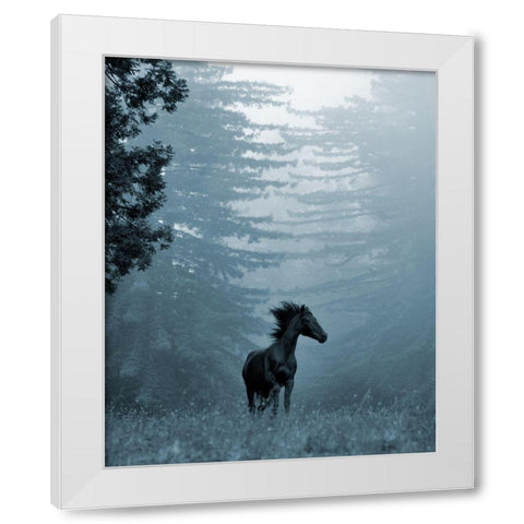Horse in the Trees I White Modern Wood Framed Art Print by Friedman, Susan