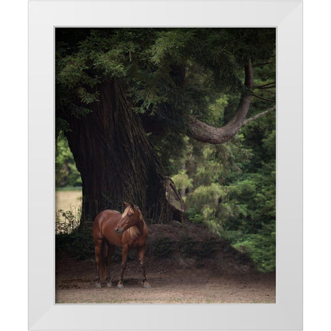 Horse in the Trees II White Modern Wood Framed Art Print by Friedman, Susan