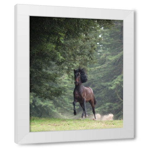 Horse in the Trees III White Modern Wood Framed Art Print by Friedman, Susan