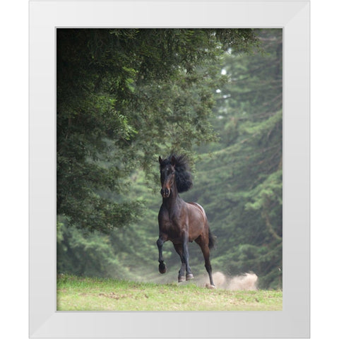 Horse in the Trees III White Modern Wood Framed Art Print by Friedman, Susan