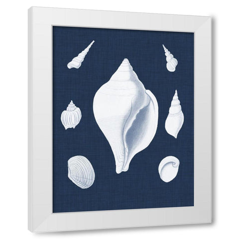 Coquillages Blancs II White Modern Wood Framed Art Print by Vision Studio