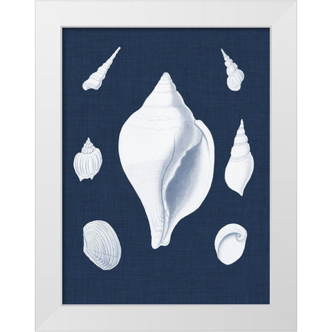 Coquillages Blancs II White Modern Wood Framed Art Print by Vision Studio