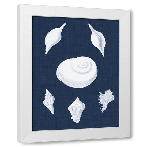 Coquillages Blancs IV White Modern Wood Framed Art Print by Vision Studio