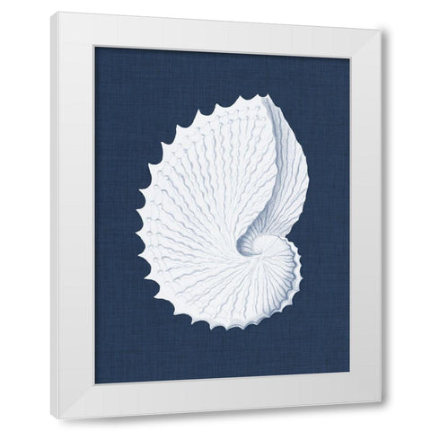 Coquillages Blancs V White Modern Wood Framed Art Print by Vision Studio