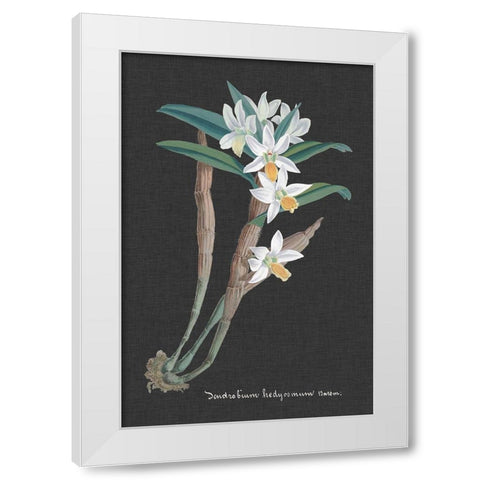 Orchid on Slate I White Modern Wood Framed Art Print by Vision Studio