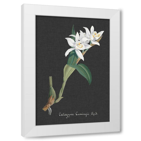 Orchid on Slate III White Modern Wood Framed Art Print by Vision Studio