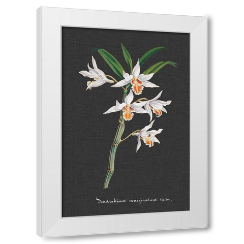 Orchid on Slate IV White Modern Wood Framed Art Print by Vision Studio