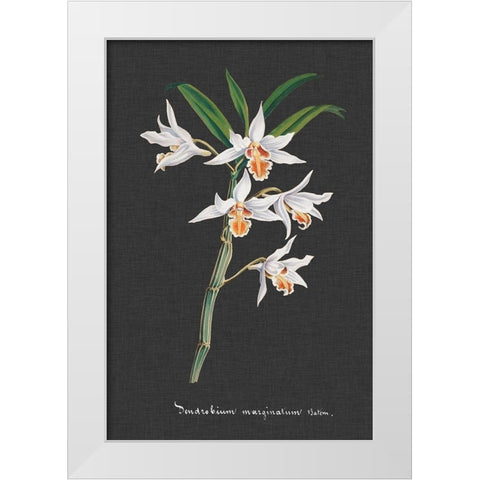 Orchid on Slate IV White Modern Wood Framed Art Print by Vision Studio