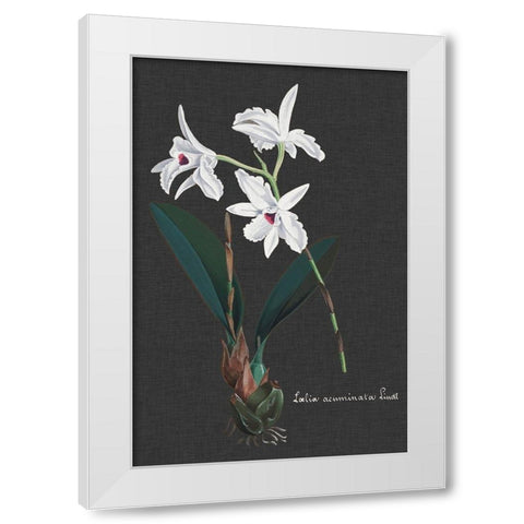 Orchid on Slate V White Modern Wood Framed Art Print by Vision Studio