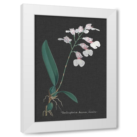 Orchid on Slate VI White Modern Wood Framed Art Print by Vision Studio