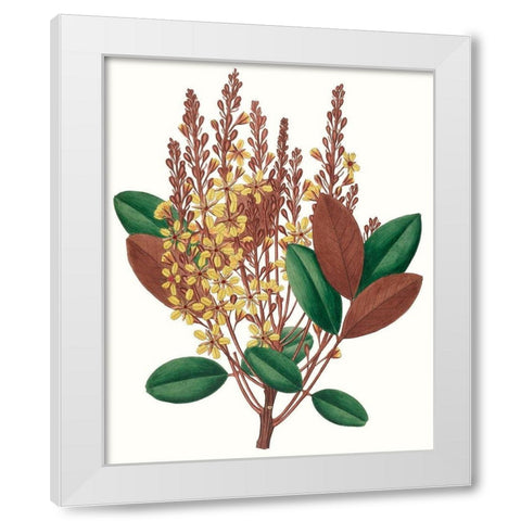 Fall Foliage II White Modern Wood Framed Art Print by Unknown