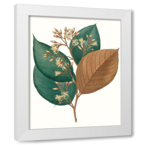 Fall Foliage V White Modern Wood Framed Art Print by Unknown