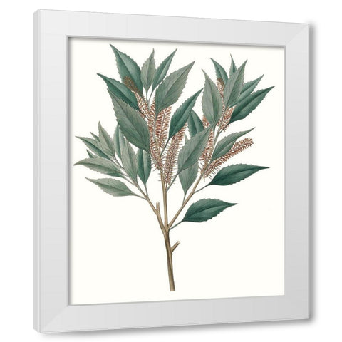 Fall Foliage VIII White Modern Wood Framed Art Print by Unknown