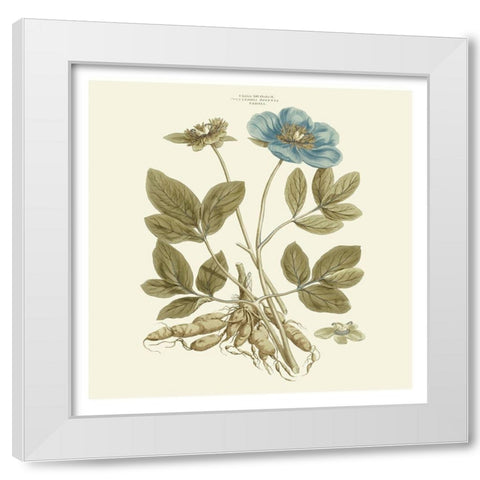 Custom Bashful Blue Florals I White Modern Wood Framed Art Print by Miller, John