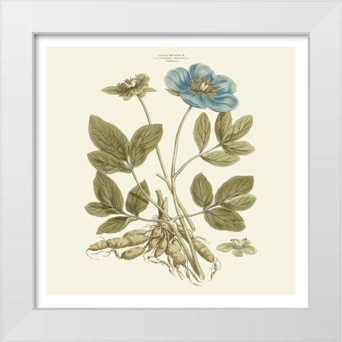 Custom Bashful Blue Florals I White Modern Wood Framed Art Print by Miller, John
