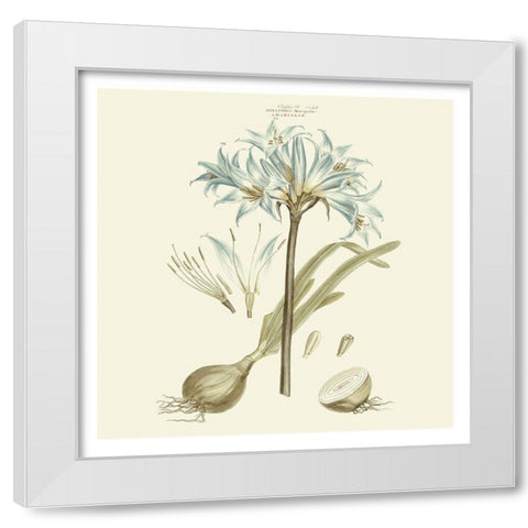 Custom Bashful Blue Florals II White Modern Wood Framed Art Print by Miller, John