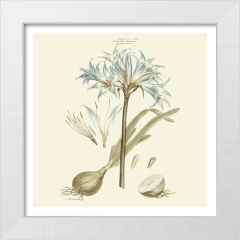 Custom Bashful Blue Florals II White Modern Wood Framed Art Print by Miller, John