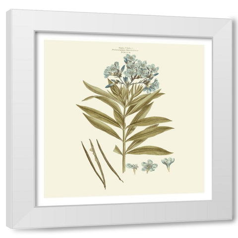 Custom Bashful Blue Florals III White Modern Wood Framed Art Print by Miller, John