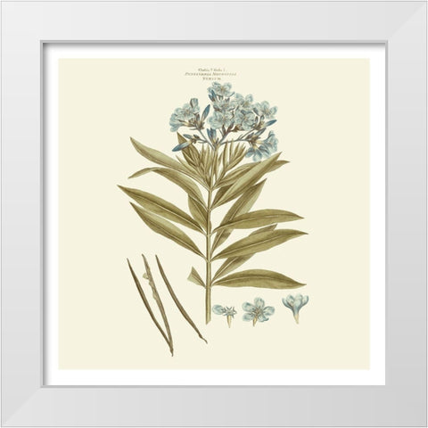 Custom Bashful Blue Florals III White Modern Wood Framed Art Print by Miller, John