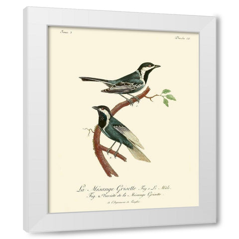 Vintage French Birds III White Modern Wood Framed Art Print by de Langlois