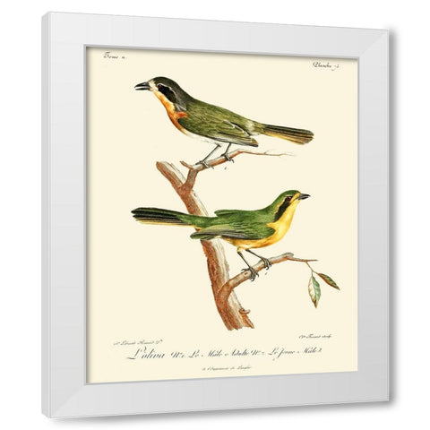 Vintage French Birds VI White Modern Wood Framed Art Print by de Langlois