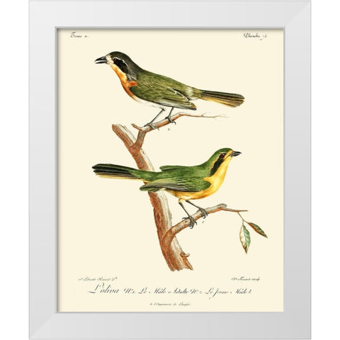 Vintage French Birds VI White Modern Wood Framed Art Print by de Langlois