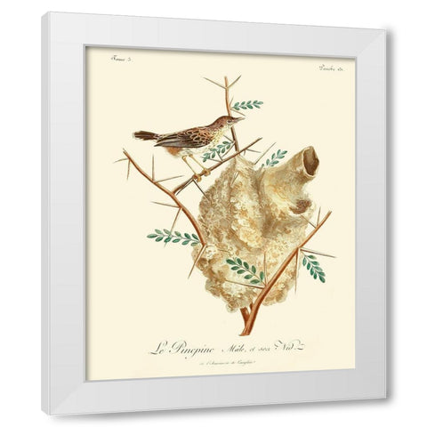 Vintage French Birds VIII White Modern Wood Framed Art Print by de Langlois