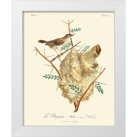 Vintage French Birds VIII White Modern Wood Framed Art Print by de Langlois