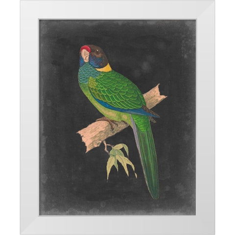 Dramatic Parrots II White Modern Wood Framed Art Print by Vision Studio