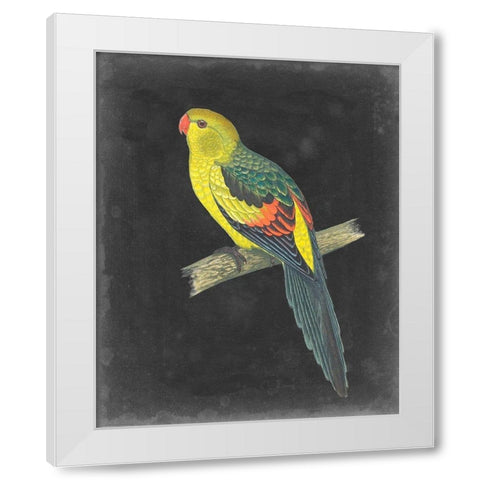 Dramatic Parrots VI White Modern Wood Framed Art Print by Vision Studio