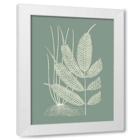 Ferns on Sage II White Modern Wood Framed Art Print by Vision Studio