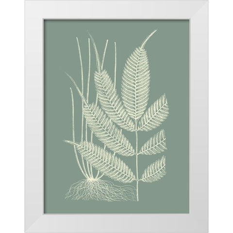 Ferns on Sage II White Modern Wood Framed Art Print by Vision Studio