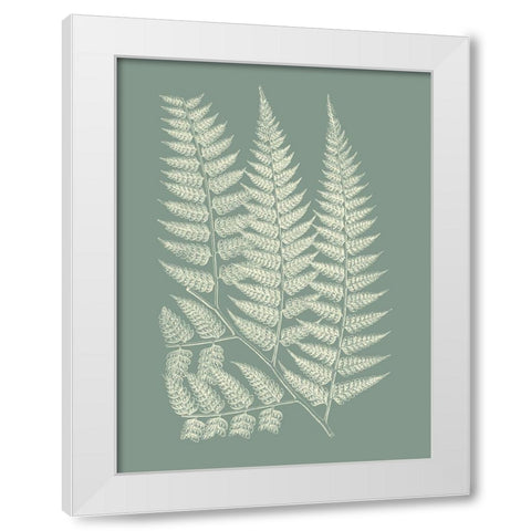 Ferns on Sage III White Modern Wood Framed Art Print by Vision Studio