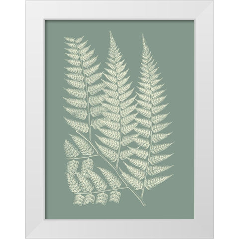 Ferns on Sage III White Modern Wood Framed Art Print by Vision Studio