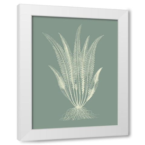 Ferns on Sage IV White Modern Wood Framed Art Print by Vision Studio