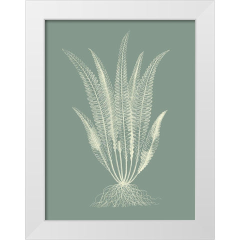 Ferns on Sage IV White Modern Wood Framed Art Print by Vision Studio