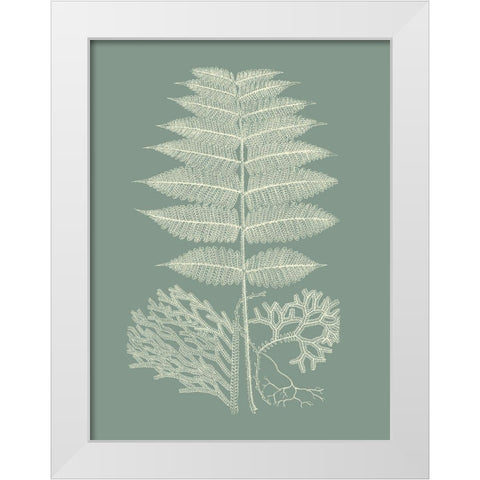 Ferns on Sage V White Modern Wood Framed Art Print by Vision Studio