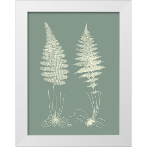 Ferns on Sage VI White Modern Wood Framed Art Print by Vision Studio