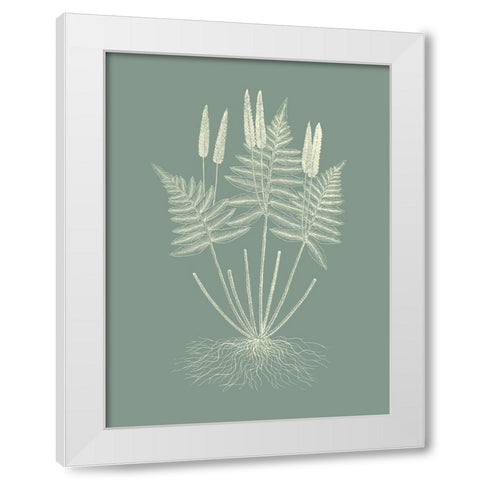 Ferns on Sage VII White Modern Wood Framed Art Print by Vision Studio